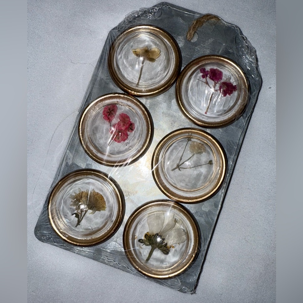 NWT Pressed Floral & Gold Magnets (pack of 6)